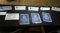 Traditional MUN/ THIMUN